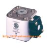 cau chi bussmann 170M4418