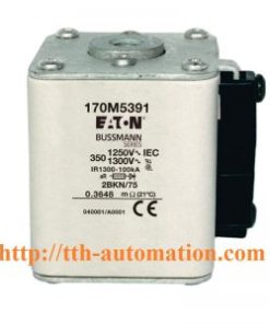 CẦU CHÌ BUSSMANN 170M5391