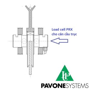 Sơ đồ nguyên lý lắp đặt load cell PRX Pavone trong hệ thống cân cầu trục, thể hiện vị trí cảm biến lực chính xác.
