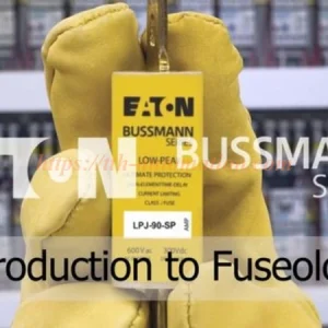 Cầu chì Bussmann Eaton – Giải pháp bảo vệ quá dòng cho hệ thống điện công nghiệp 1 Cầu chì Bussmann Eaton chỉ dẫn sản phẩm
